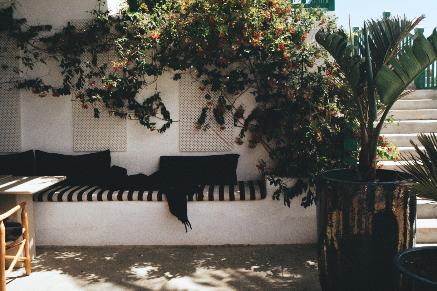 Isabel Napa — Photography portfolio 9