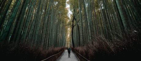 Arjay — travel photography