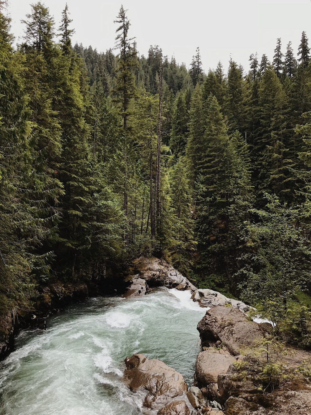 Lauralyn Brown — Photography portfolio 2