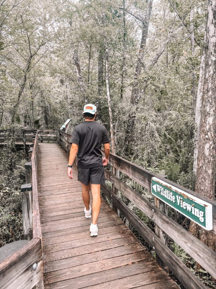 Noah Jenks — UGC portfolio 2
