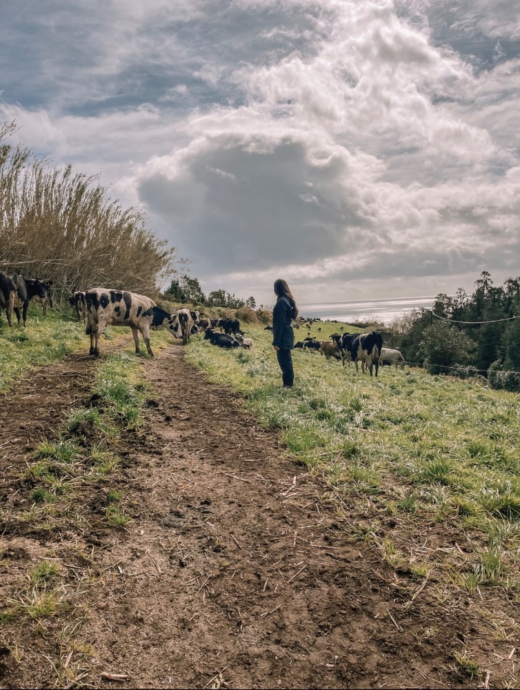 Noah Jenks — UGC portfolio 5