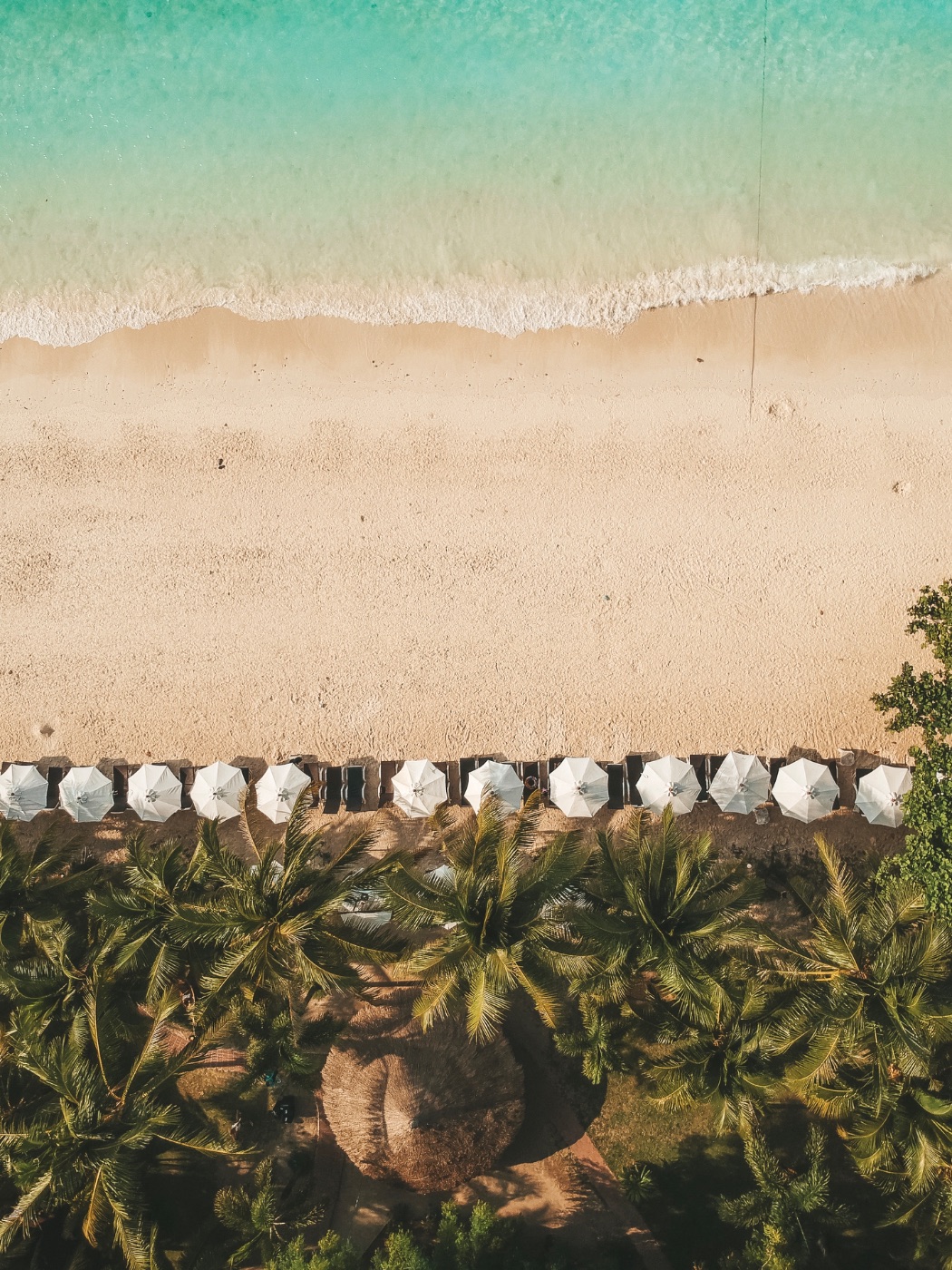 Joshua Grant — UGC portfolio 3