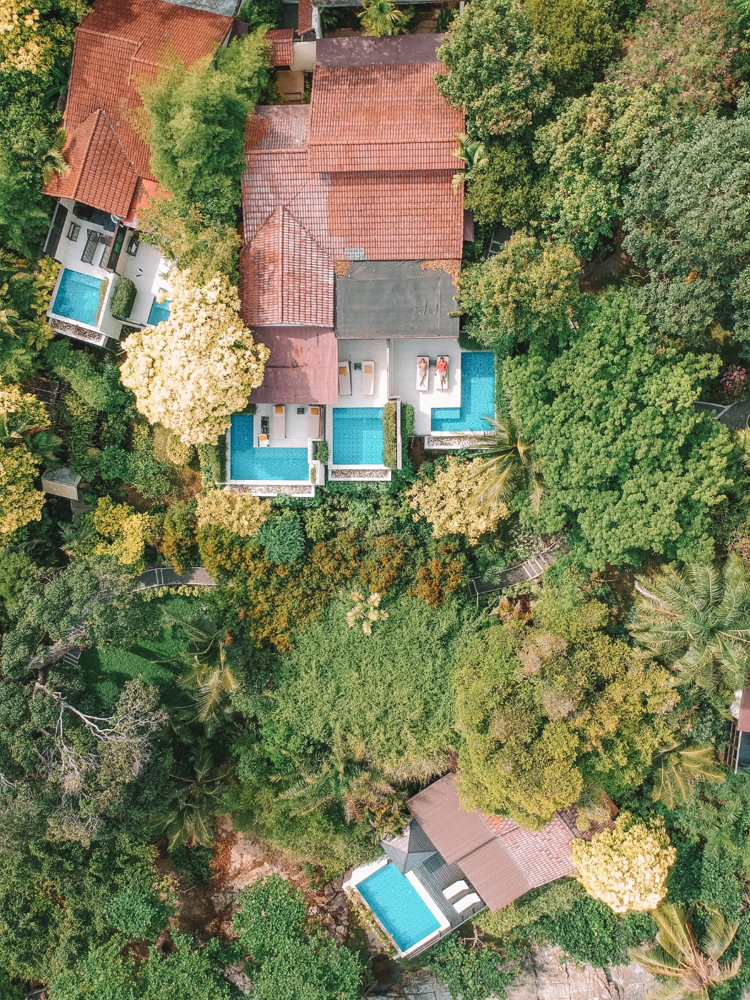 Joshua Grant — UGC portfolio 5