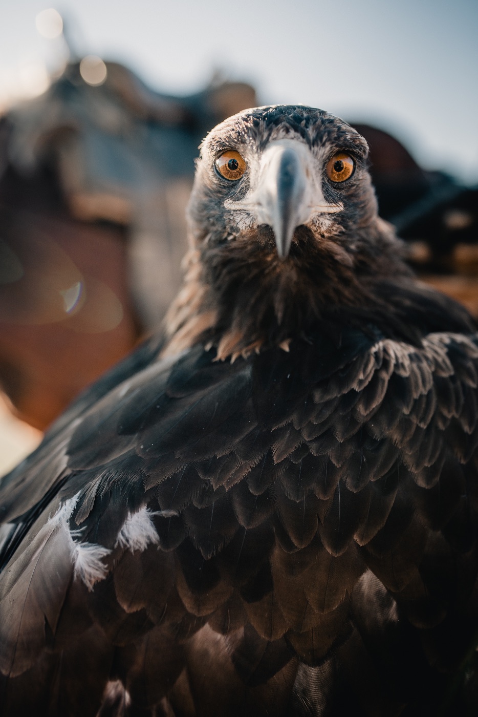 Alina B — Photography portfolio 2