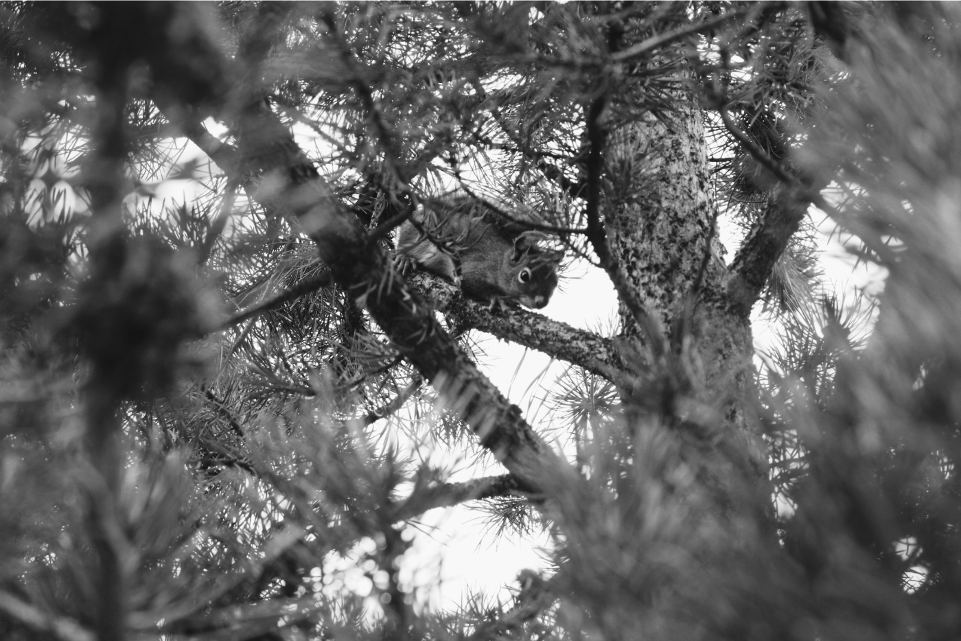 Maya Leitner — Photography portfolio 8
