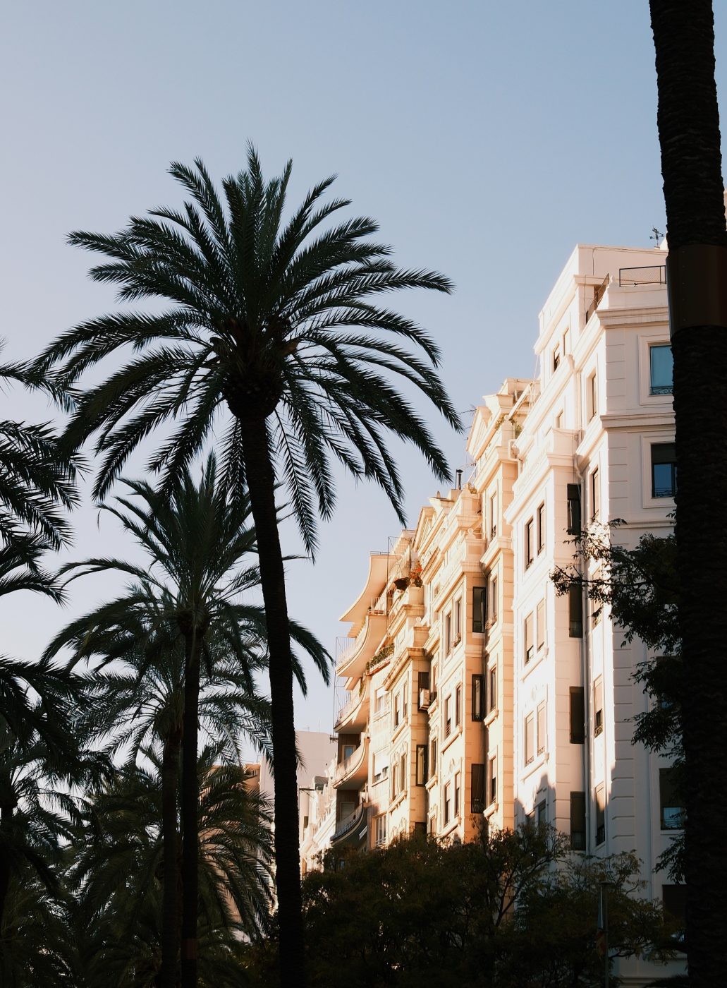 ANNERA — Photography portfolio 2
