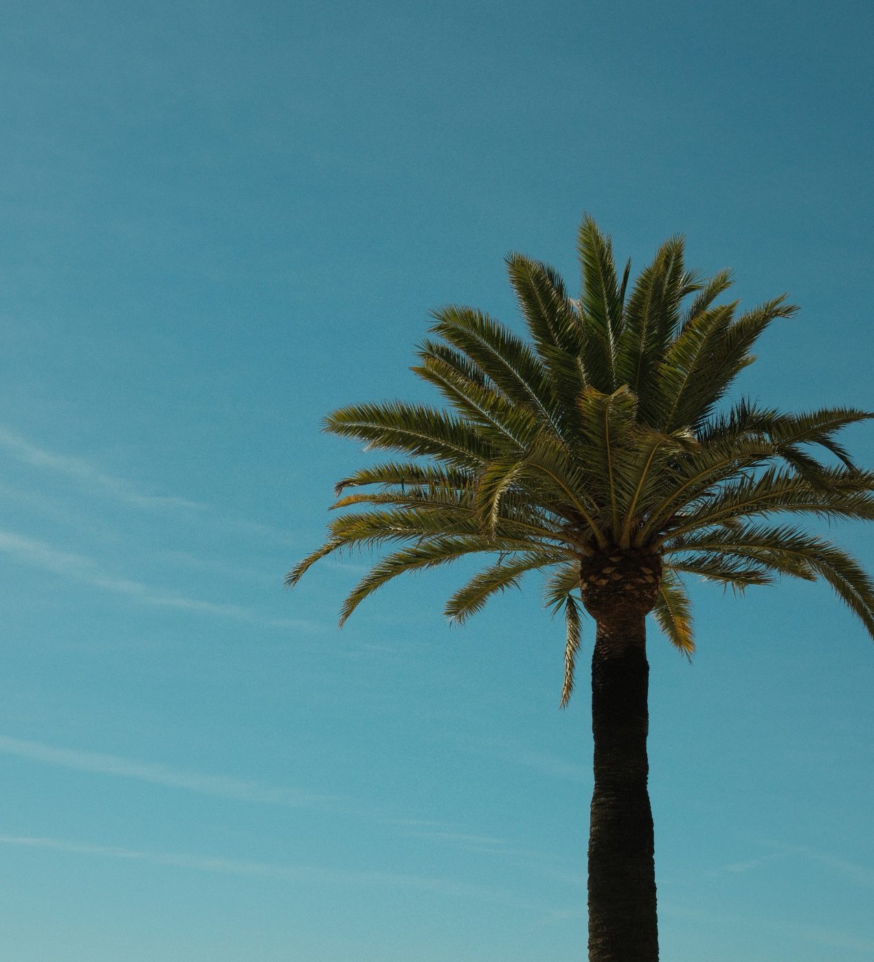 ANNERA — Photography portfolio 8