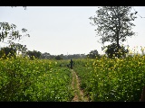 Simranjeet Singh  — Multi-discipline portfolio 10
