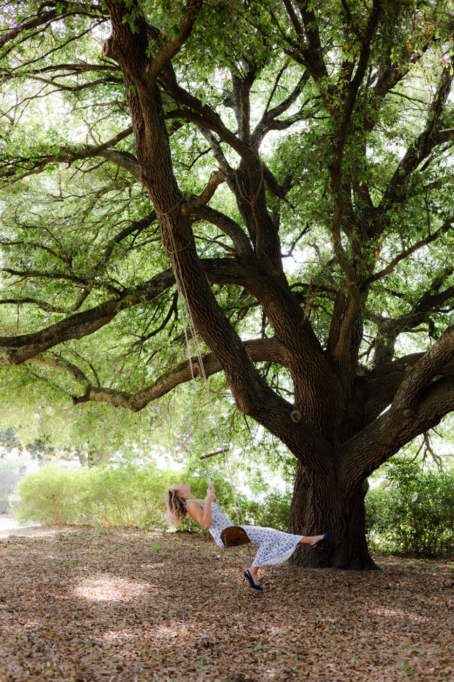 Claire Creates — Photography portfolio 5