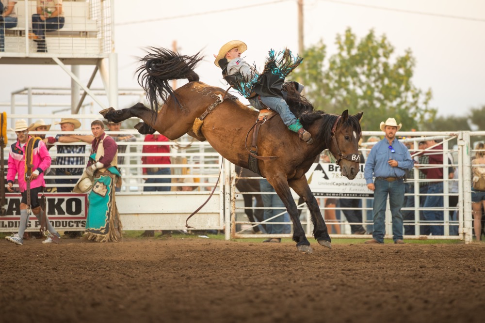 Lexi Hilburn — Multi-discipline portfolio 8