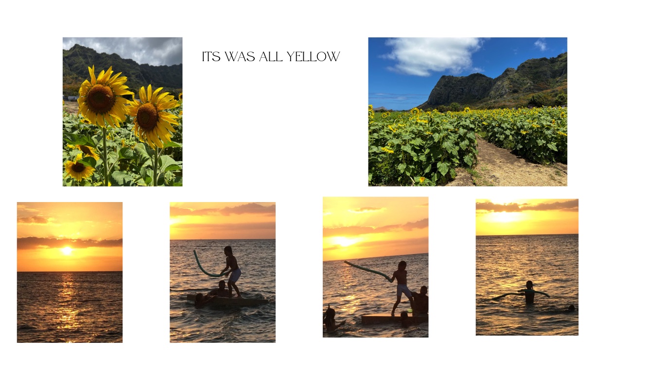 Mary Loomis-Shrier — Photography portfolio 5