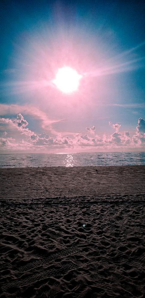 Alexandra Allan — Photography portfolio 9
