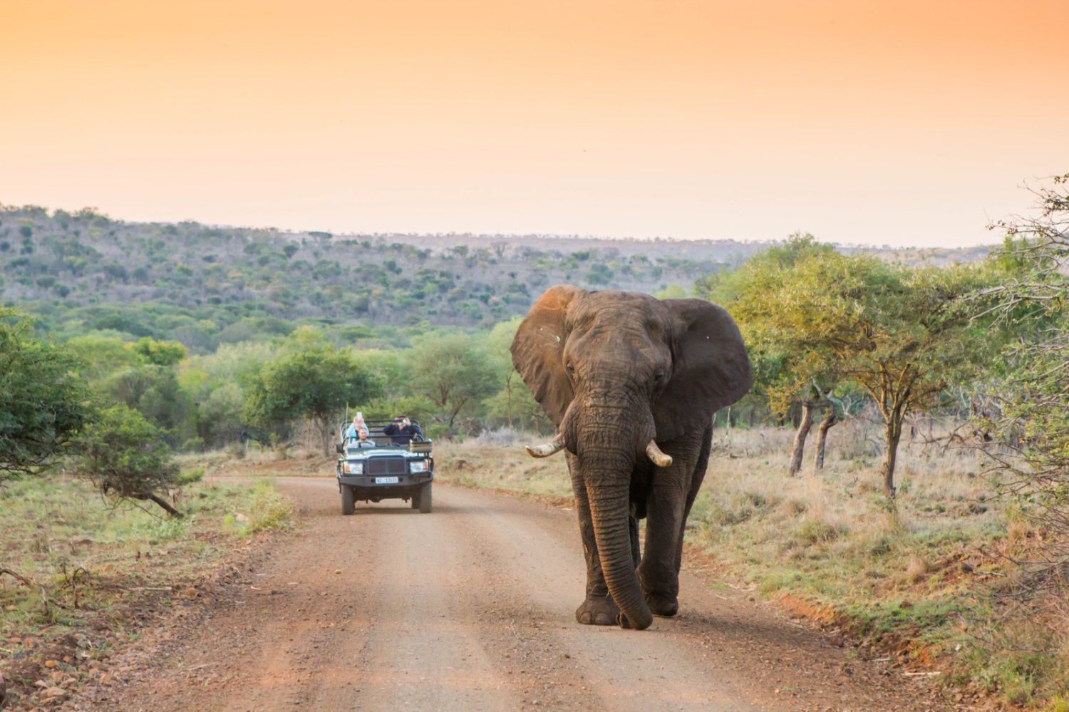 Kim Steinberg — travel photography