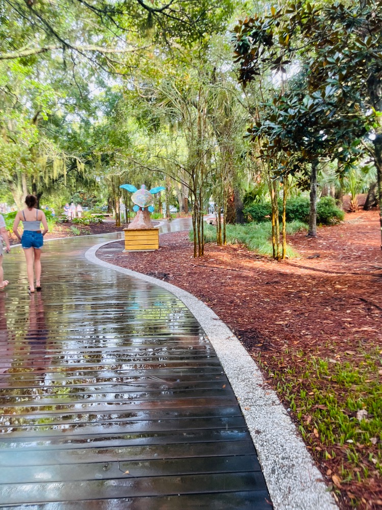 Jamie Coey — UGC portfolio 8