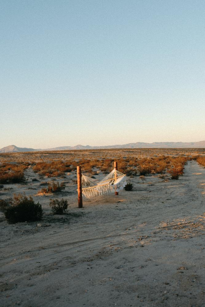 Madeline Barr — Photography portfolio 14