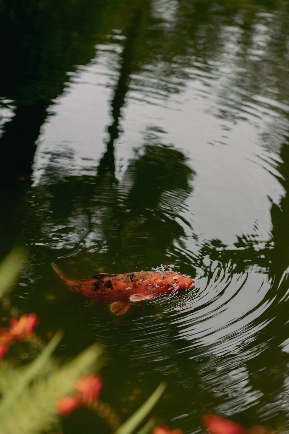 Sydney Ketcheside — Photography portfolio 10