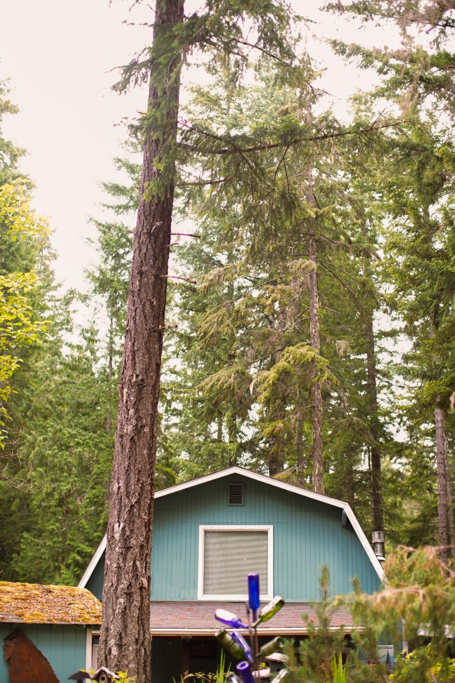 Carson Breen — Photography portfolio 5