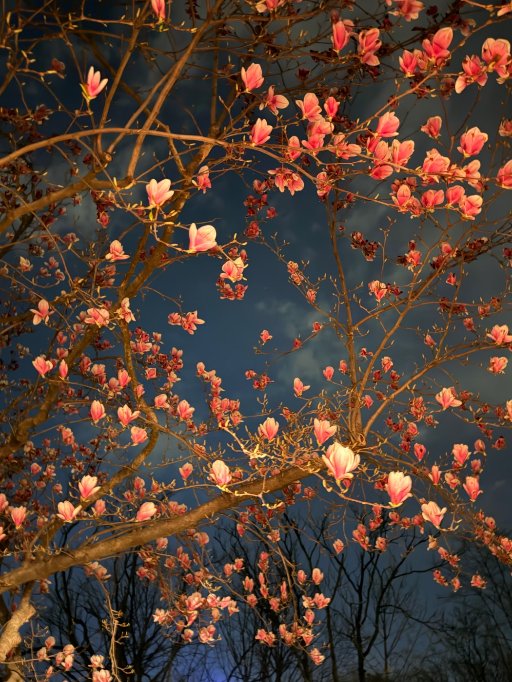 Erna Pitak — Multi-discipline portfolio 14