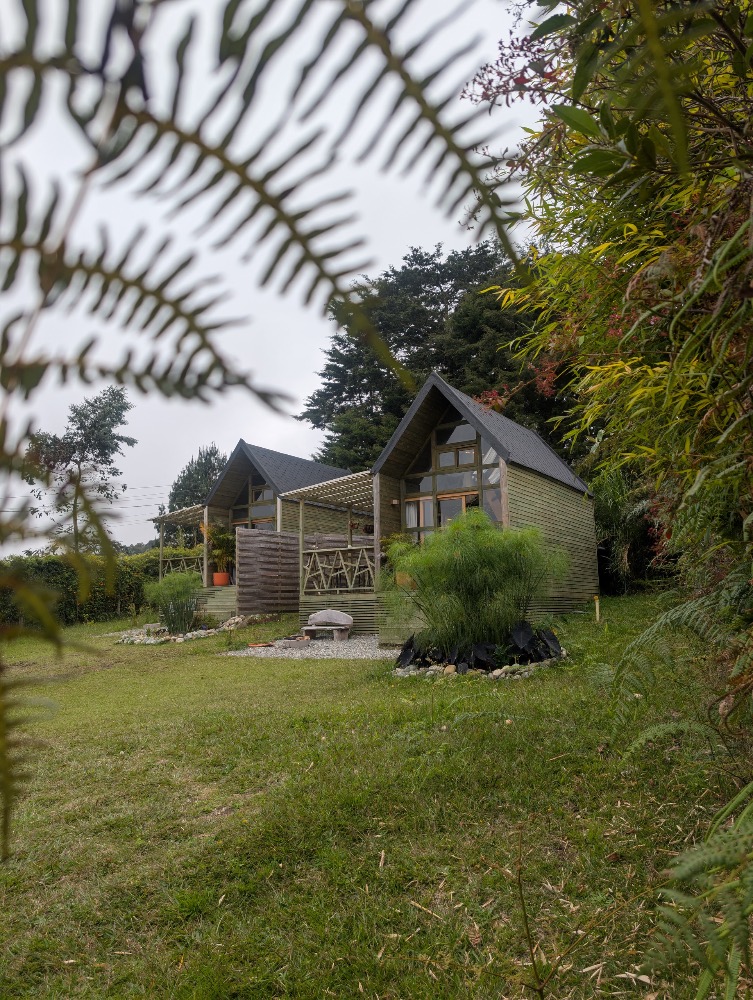Bridget Jones — UGC portfolio 3