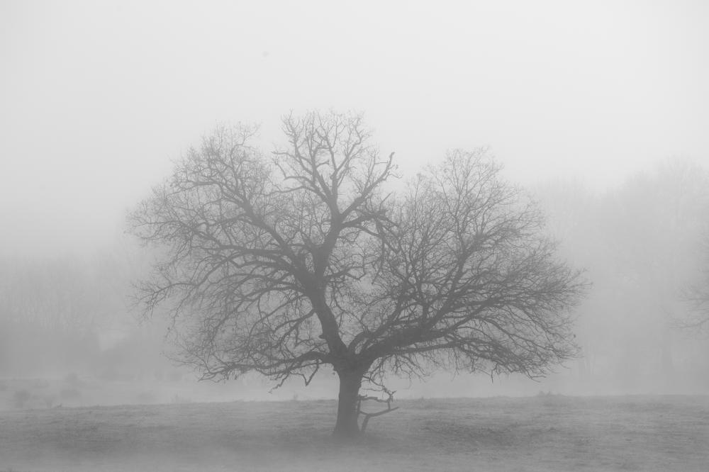 Raquel Pellicano Granado — Photography portfolio 12