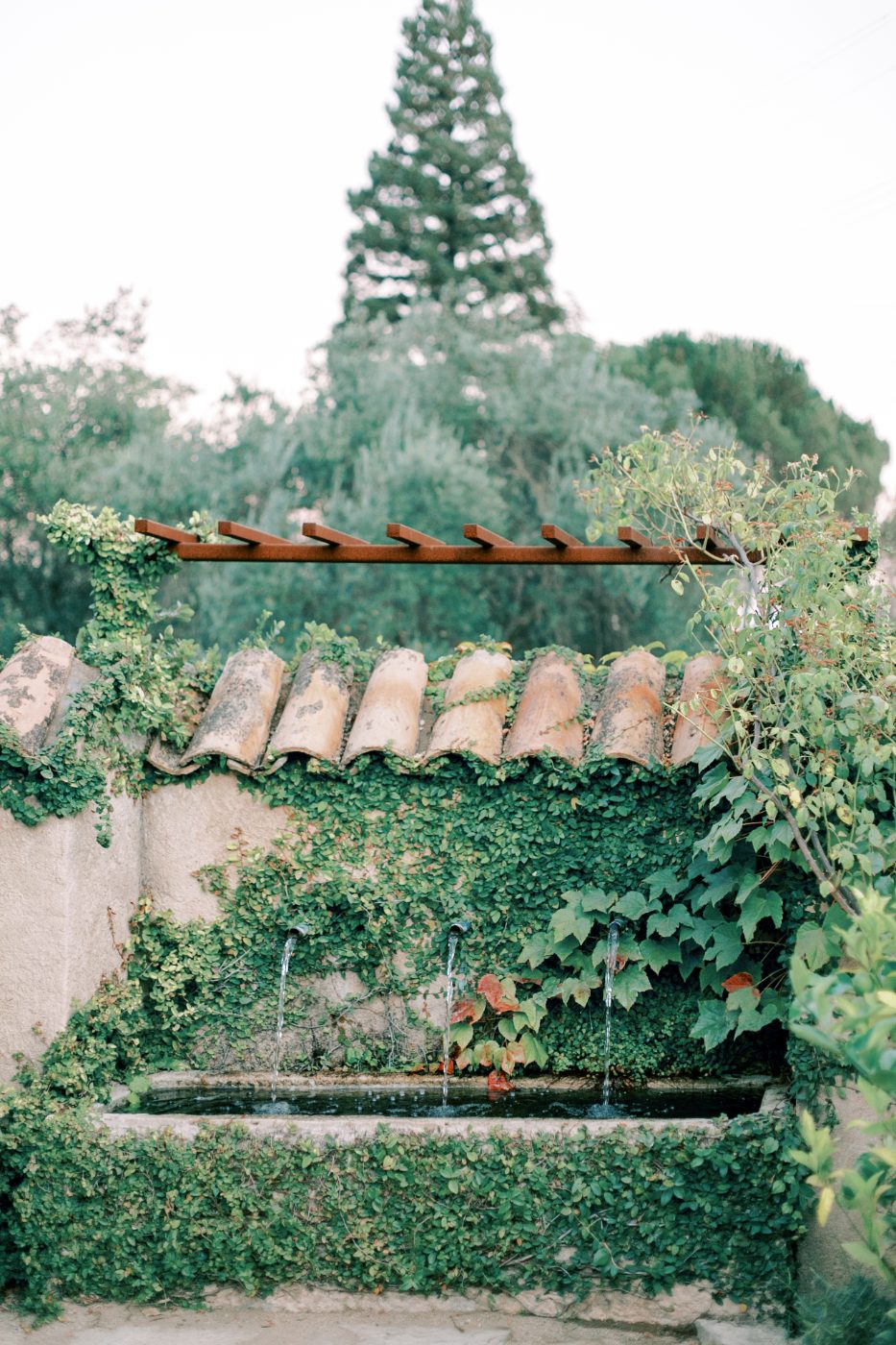 Carly Wilson — Photography portfolio 5