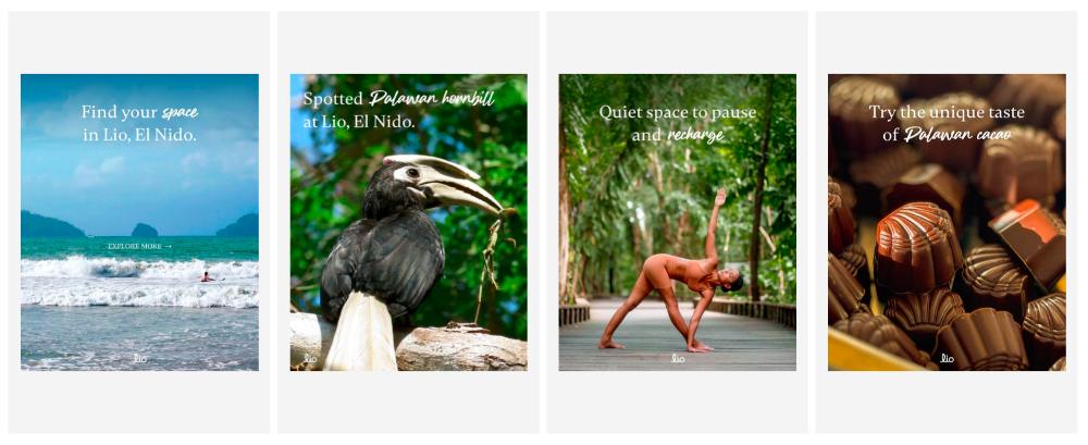 Rico — Multi-discipline portfolio 5