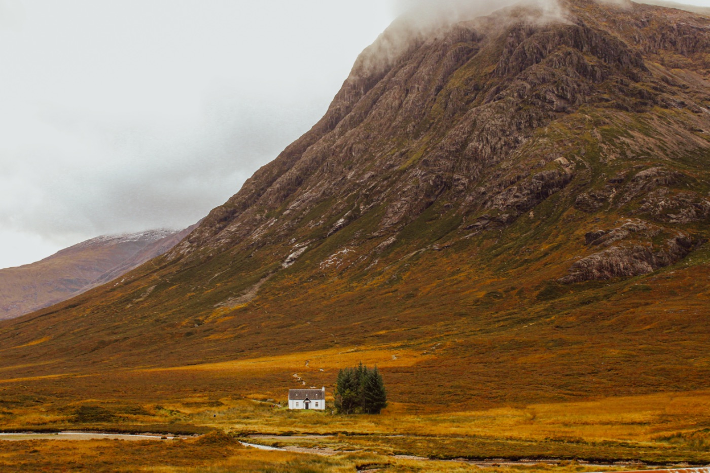Dana Cully — UGC portfolio 8