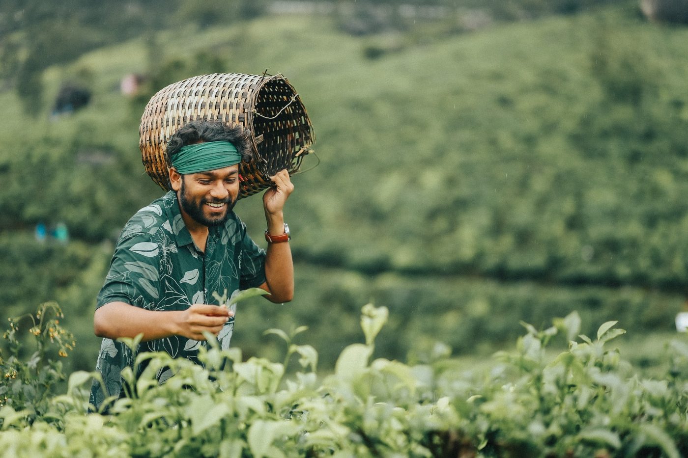 Saurabh Mane — Travel Videography portfolio 10