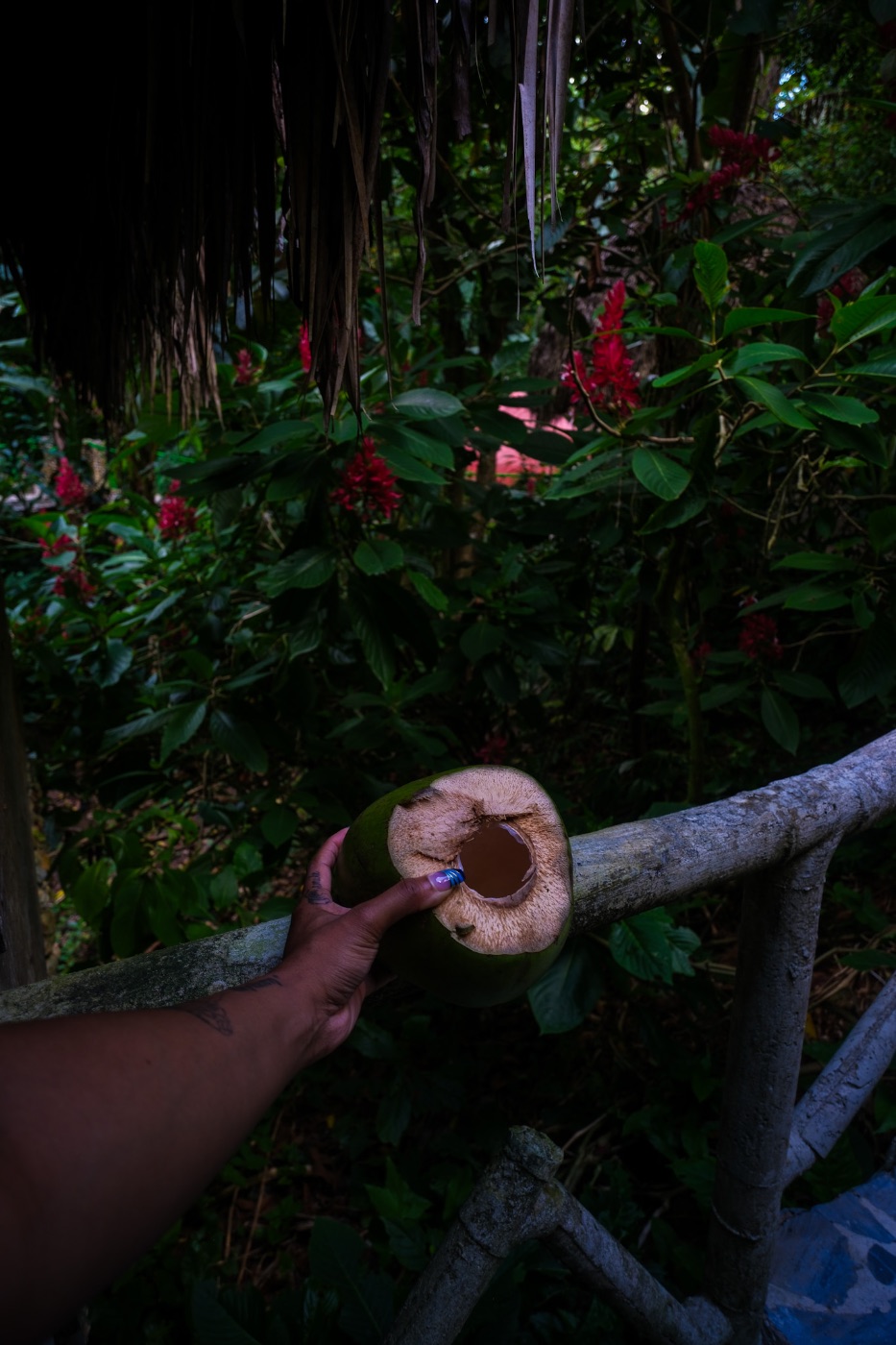 Phillisha Downer — Photography portfolio 13