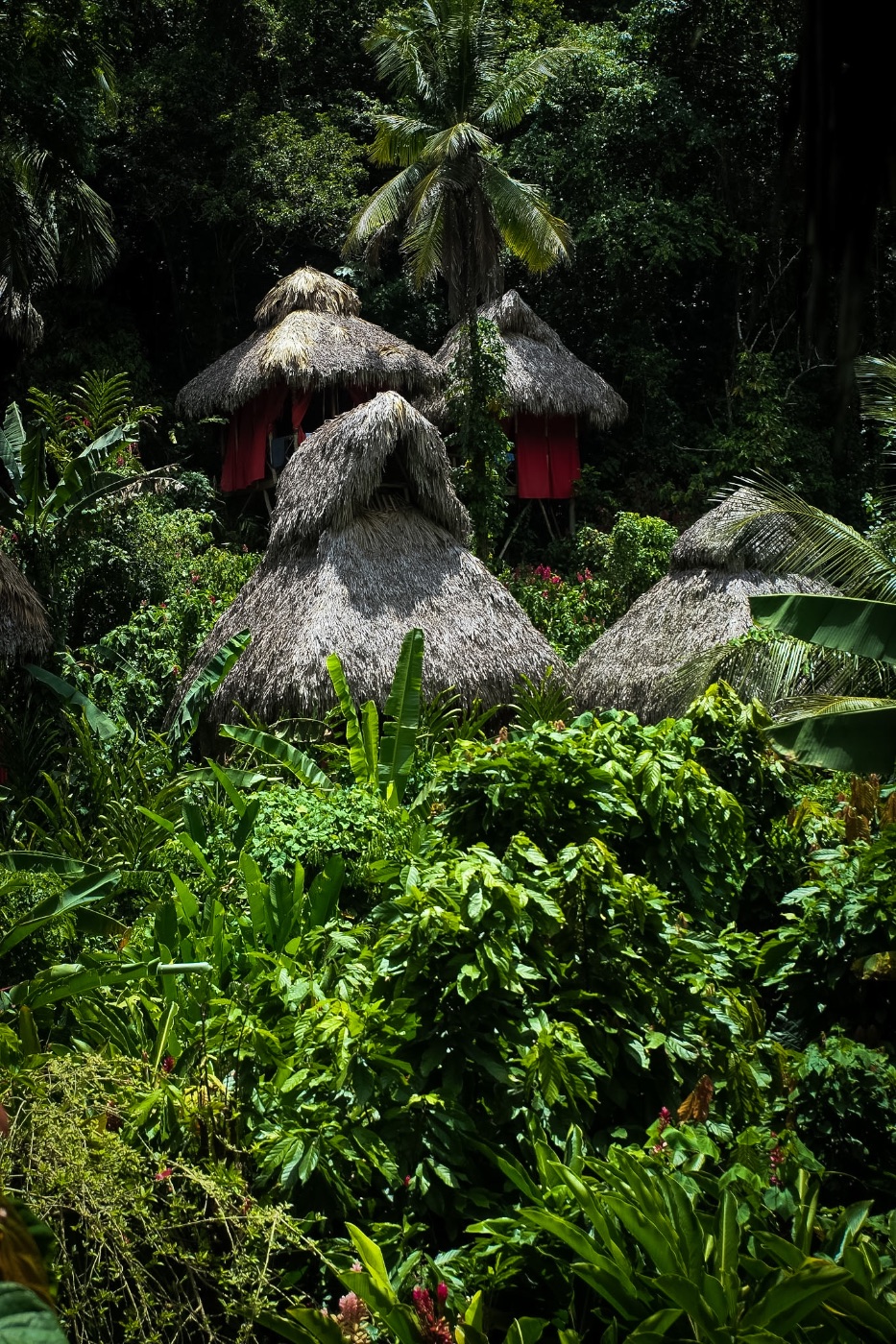 Phillisha Downer — Photography portfolio 14