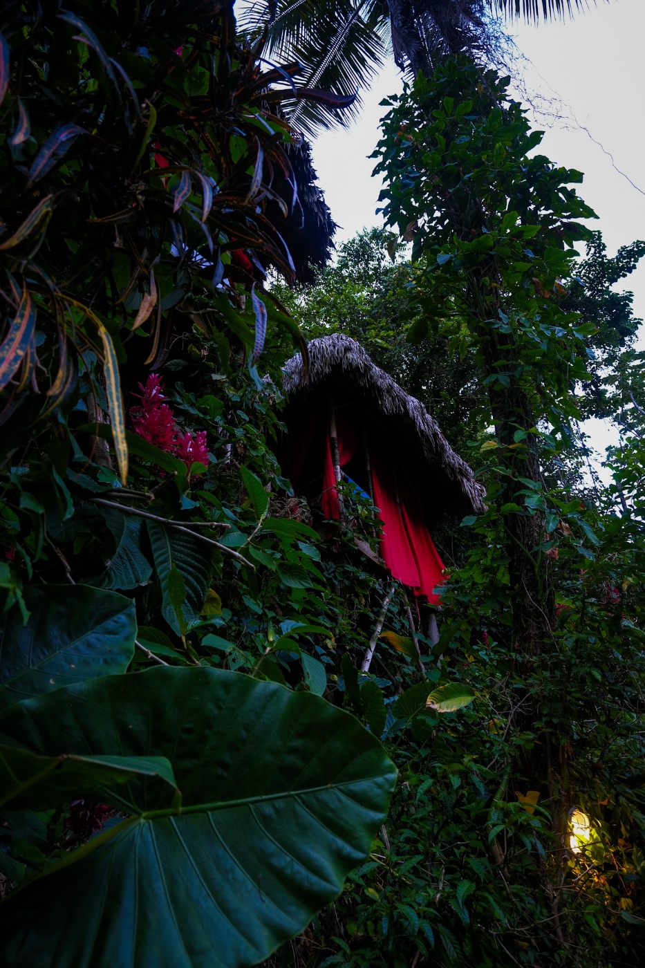 Phillisha Downer — Photography portfolio 18