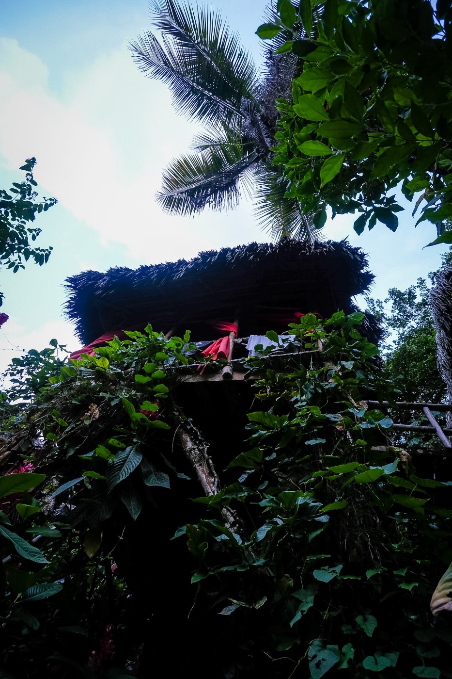 Phillisha Downer — Photography portfolio 19