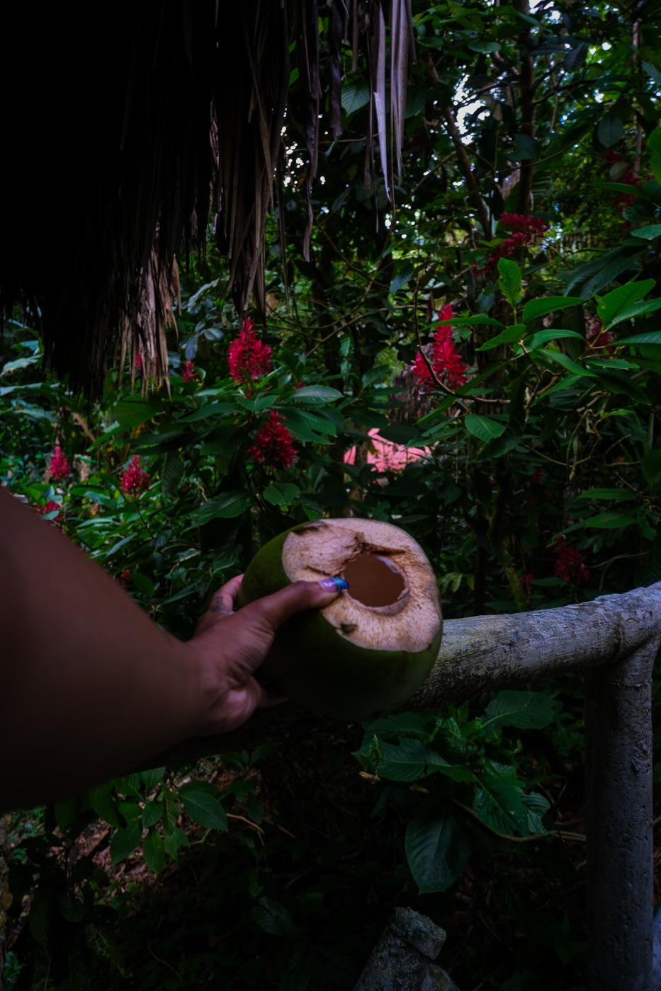 Phillisha Downer — Photography portfolio 20
